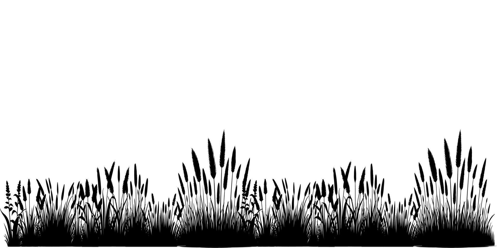 Horizontal black grass land Silhouettes. Cultivated Lawn vector illustration on white background with copy space for text