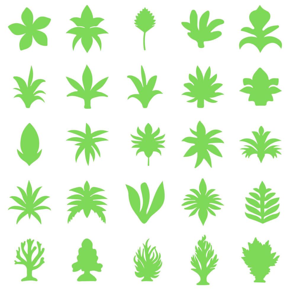 Botanical flower set. Decorative floral vector