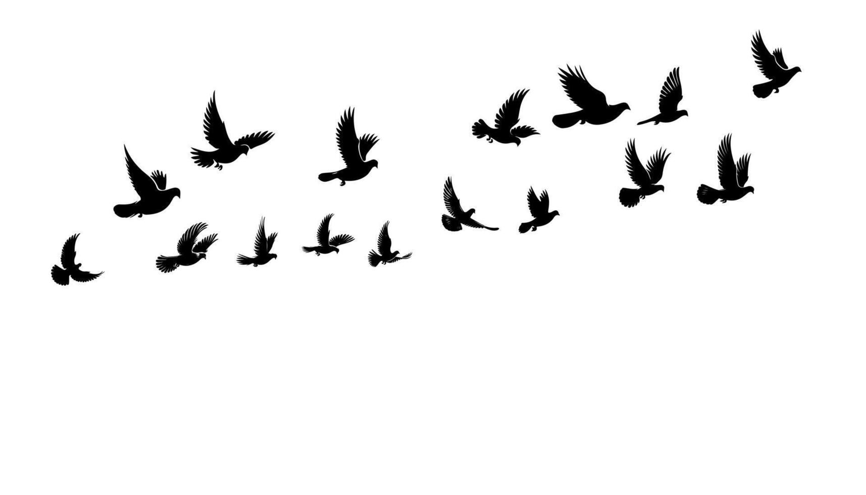 paloma aves o palomas grupo vuelo silueta horizontal vector ilustración en blanco antecedentes