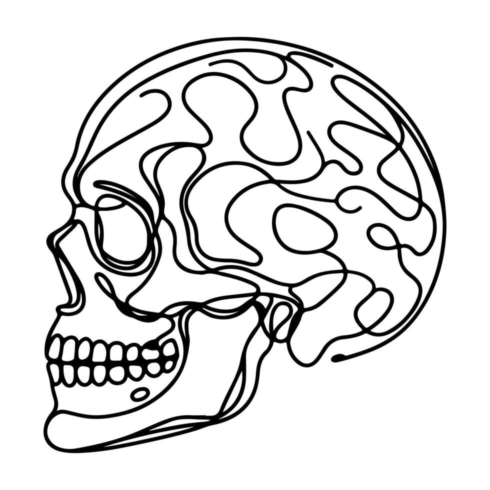 skull and crossbone vector