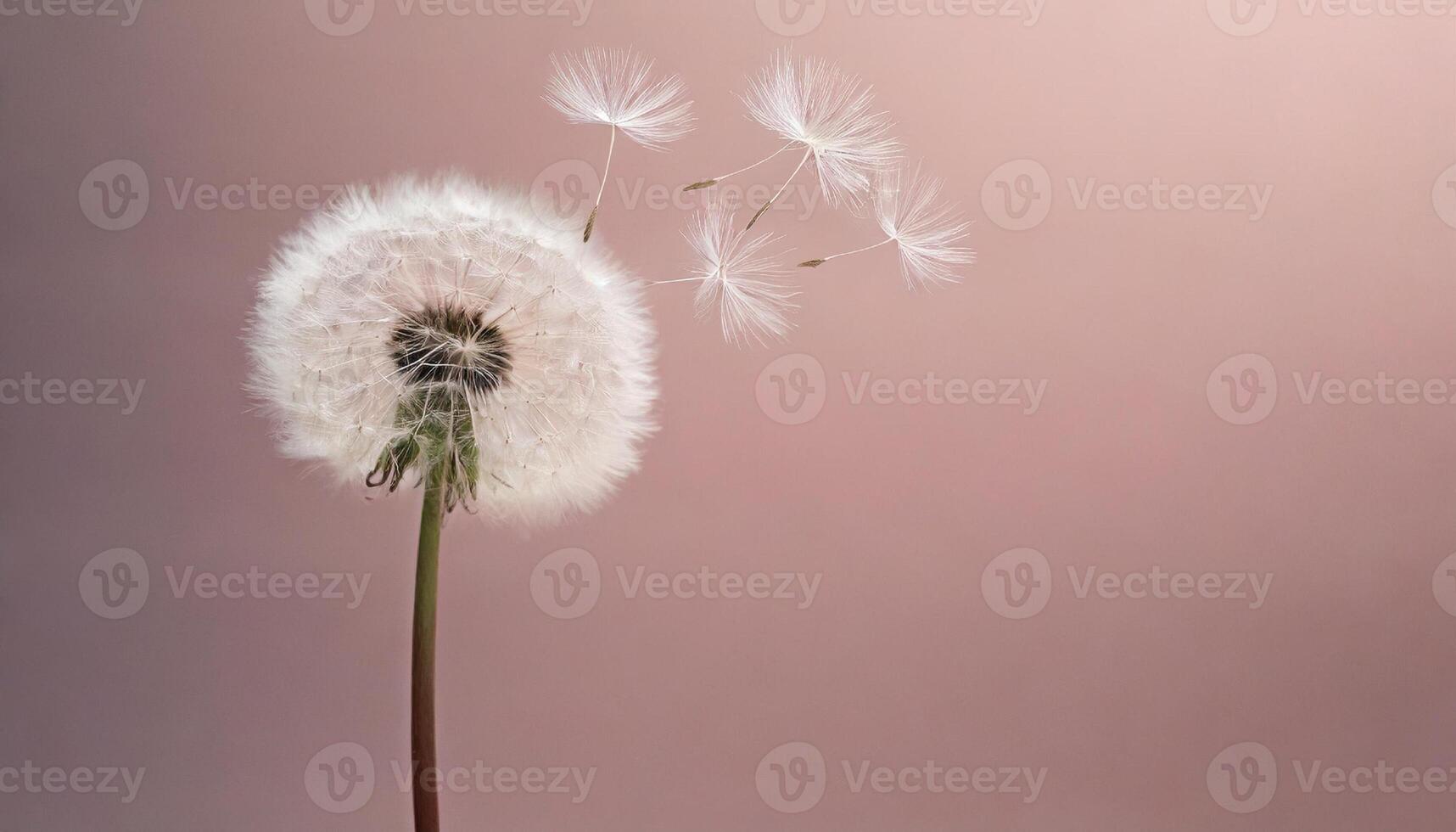 AI generated a close up dandelion flower photo