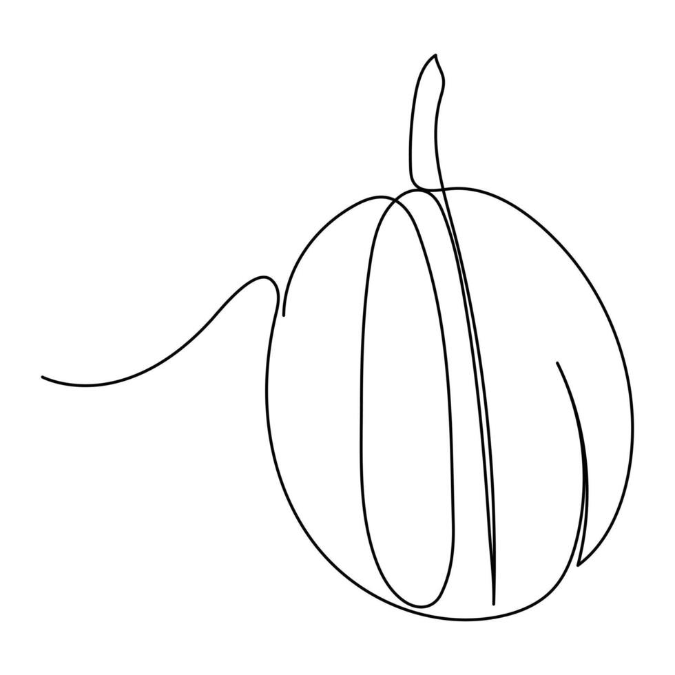 Pumpkin vegetable continuous one line vector art drawing and illustration