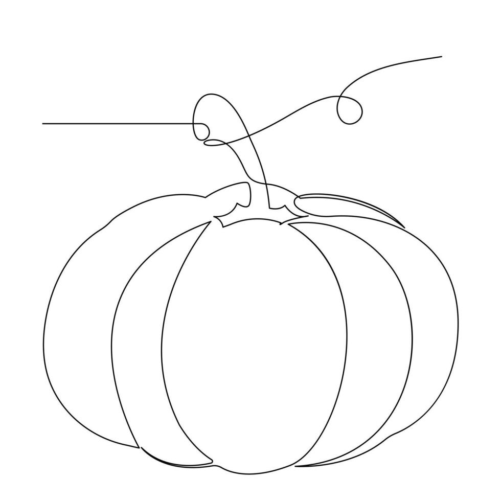 Pumpkin vegetable continuous one line vector art drawing and illustration