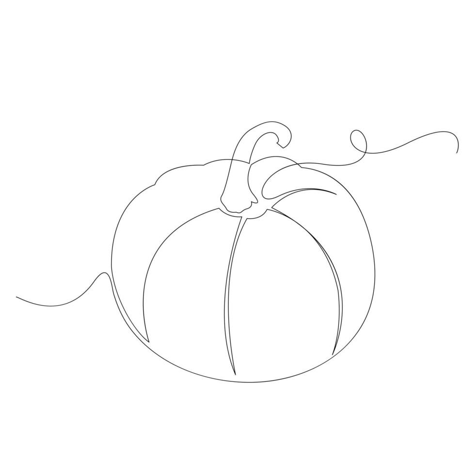 Pumpkin vegetable continuous one line vector art drawing and illustration