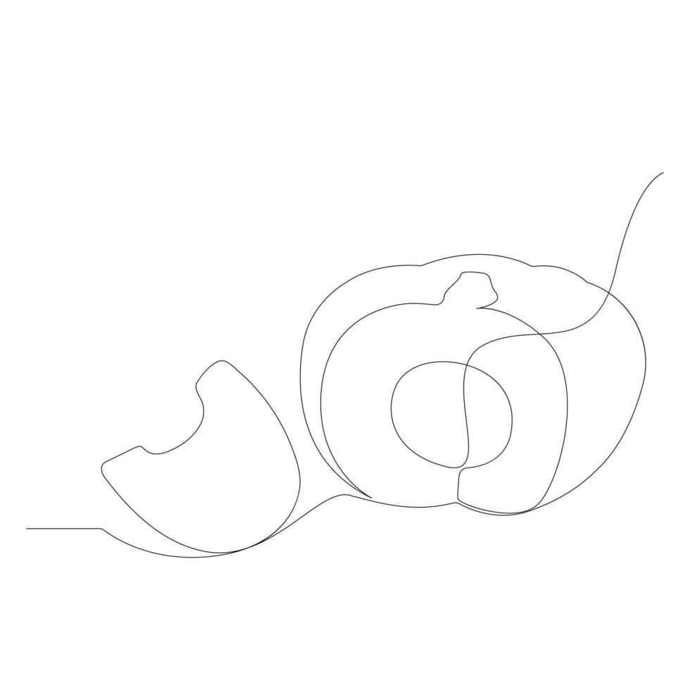 Pumpkin vegetable continuous one line vector art drawing and illustration