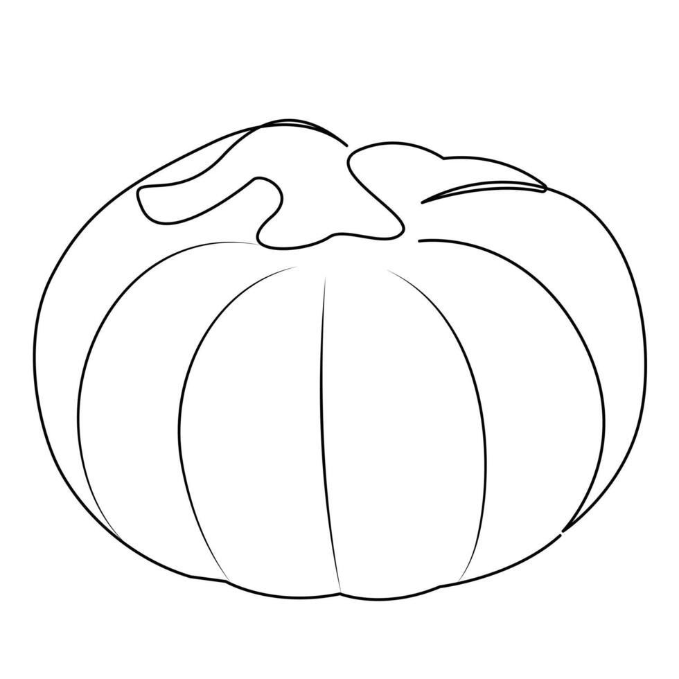 Pumpkin vegetable continuous one line vector art drawing and illustration