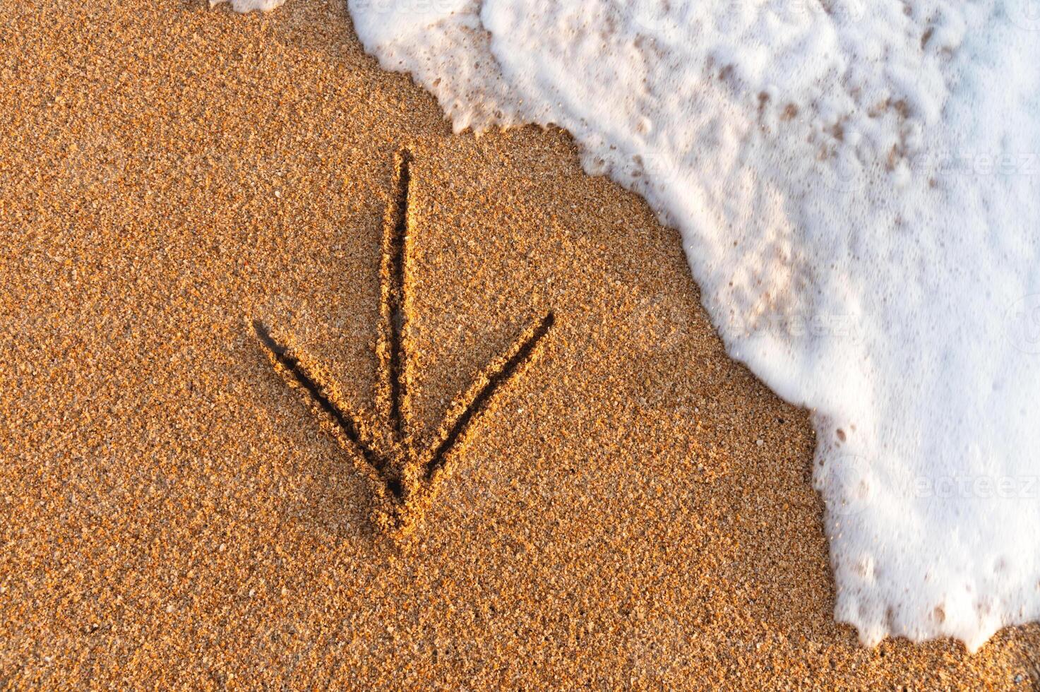 Flatlay An arrow drawn on the sand pointing to the left next to sea foam photo