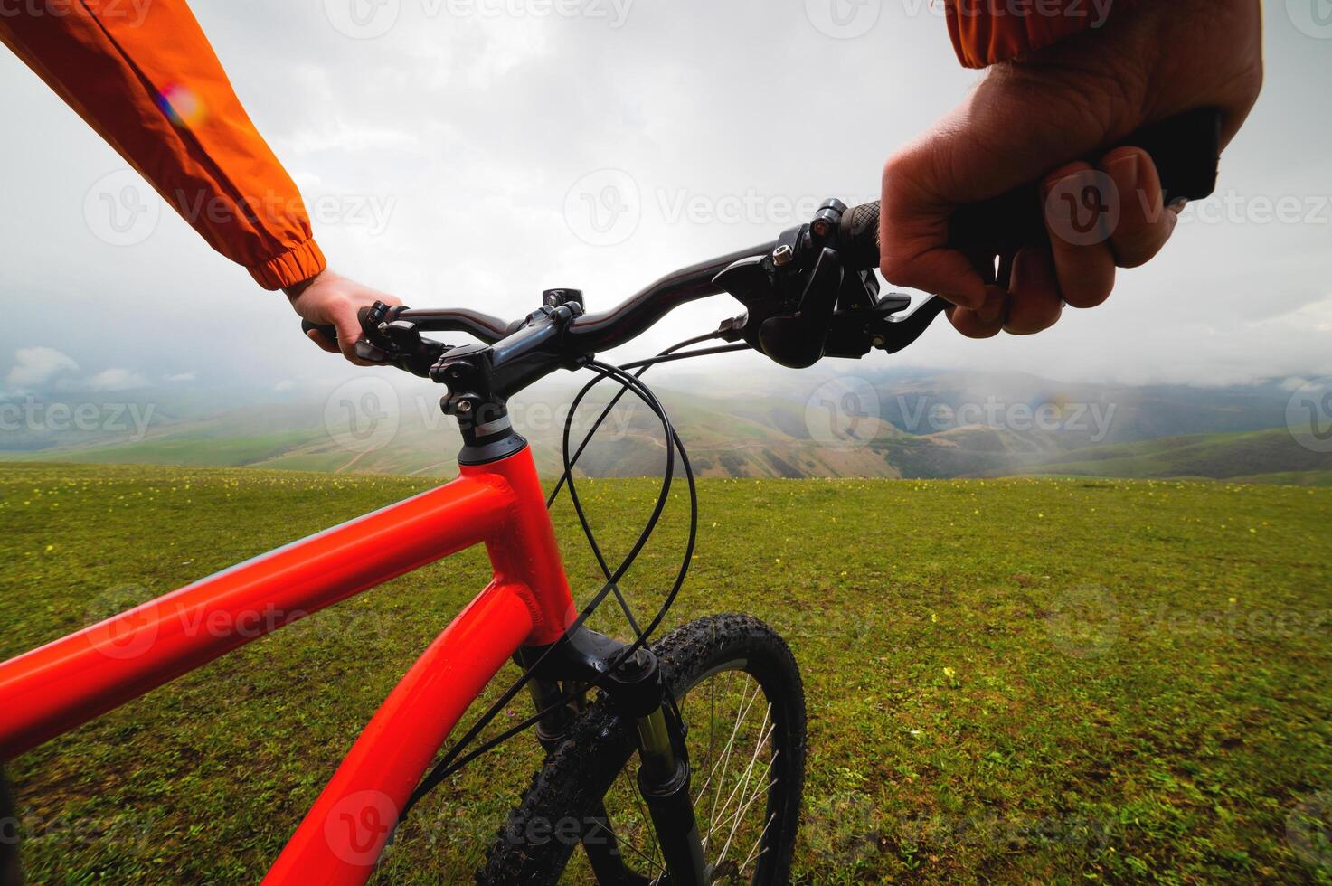 manos sostener el direccion rueda de un bicicleta mientras en pie en un verde prado. un Mira mediante el ojos de un motorista foto