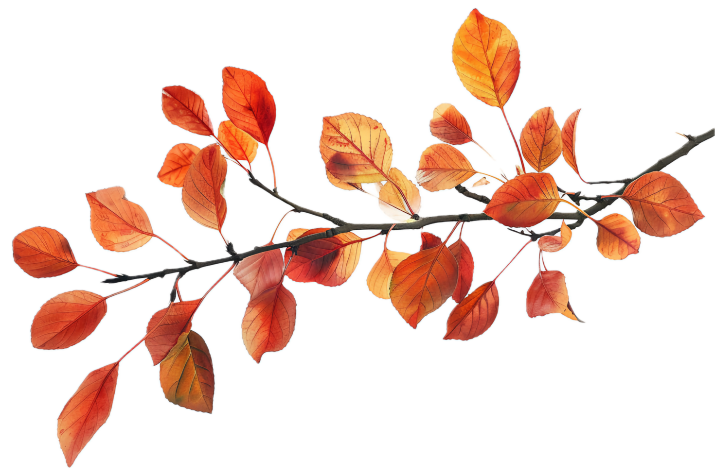 AI generated Autumn Leaves on Branch png