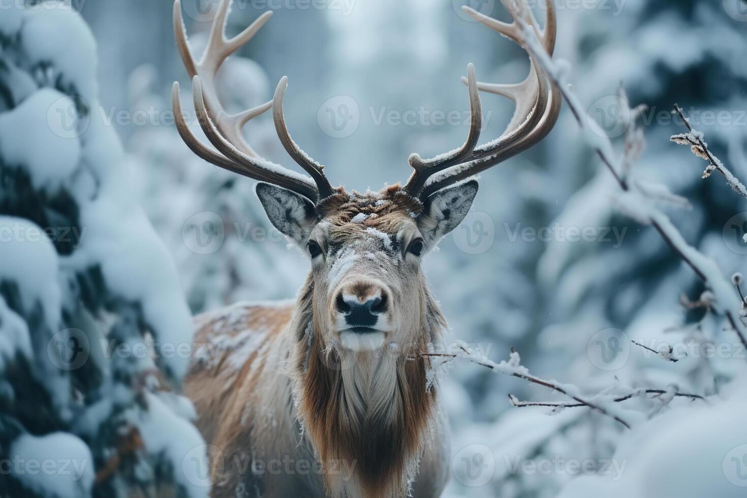 AI generated Wild animal theme. Front view of deer with antlers in snowy forest on winter day, looking at camera, close-up photo