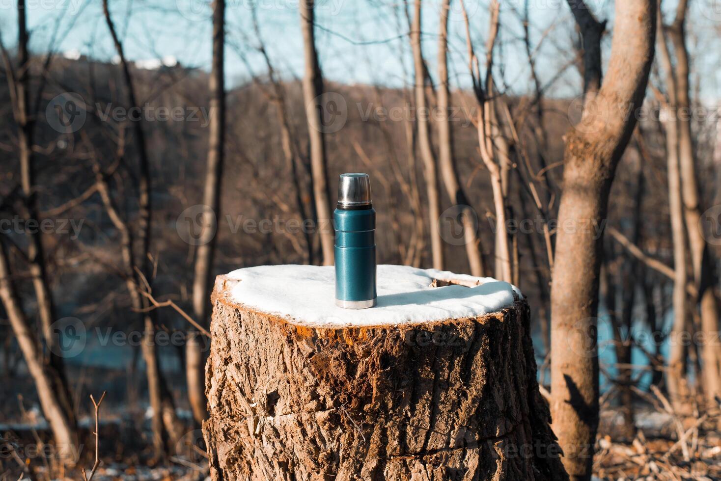 Thermos standing on a tree stump covered with snow. photo