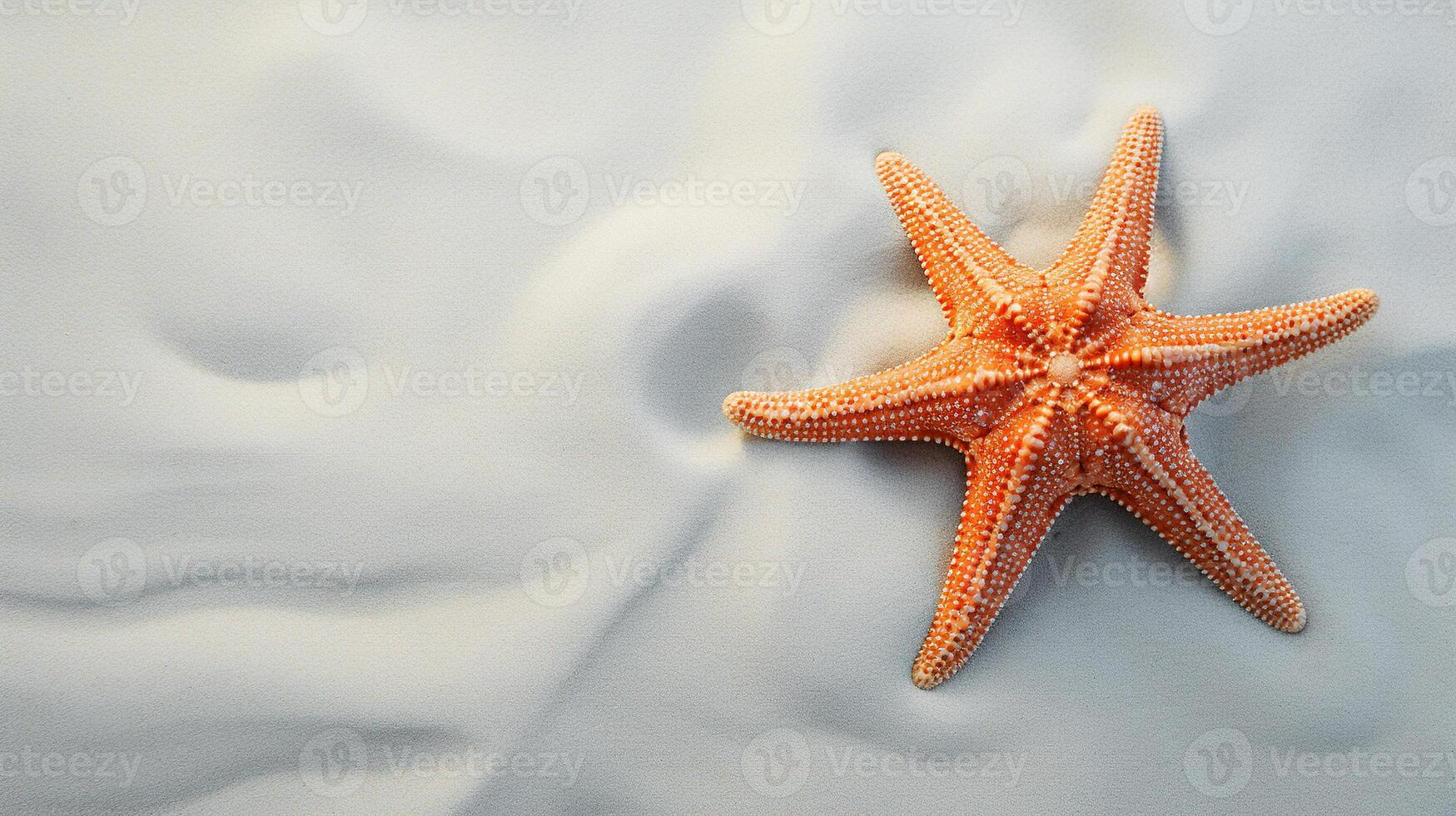 AI generated Marine life banner with copy space, top view orange starfish on beach sand photo