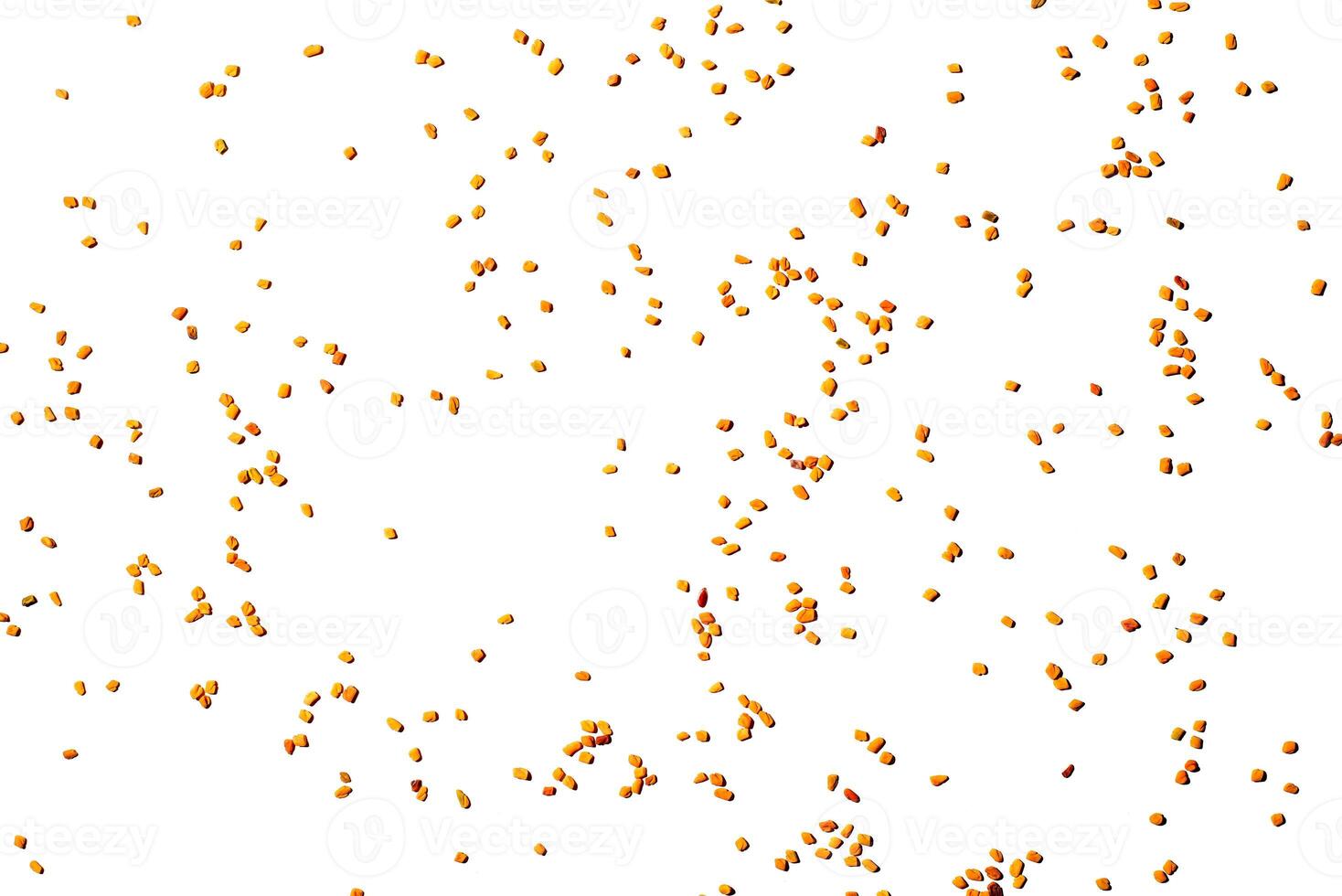 Scattered fenugreek grains isolated on white background, top view photo