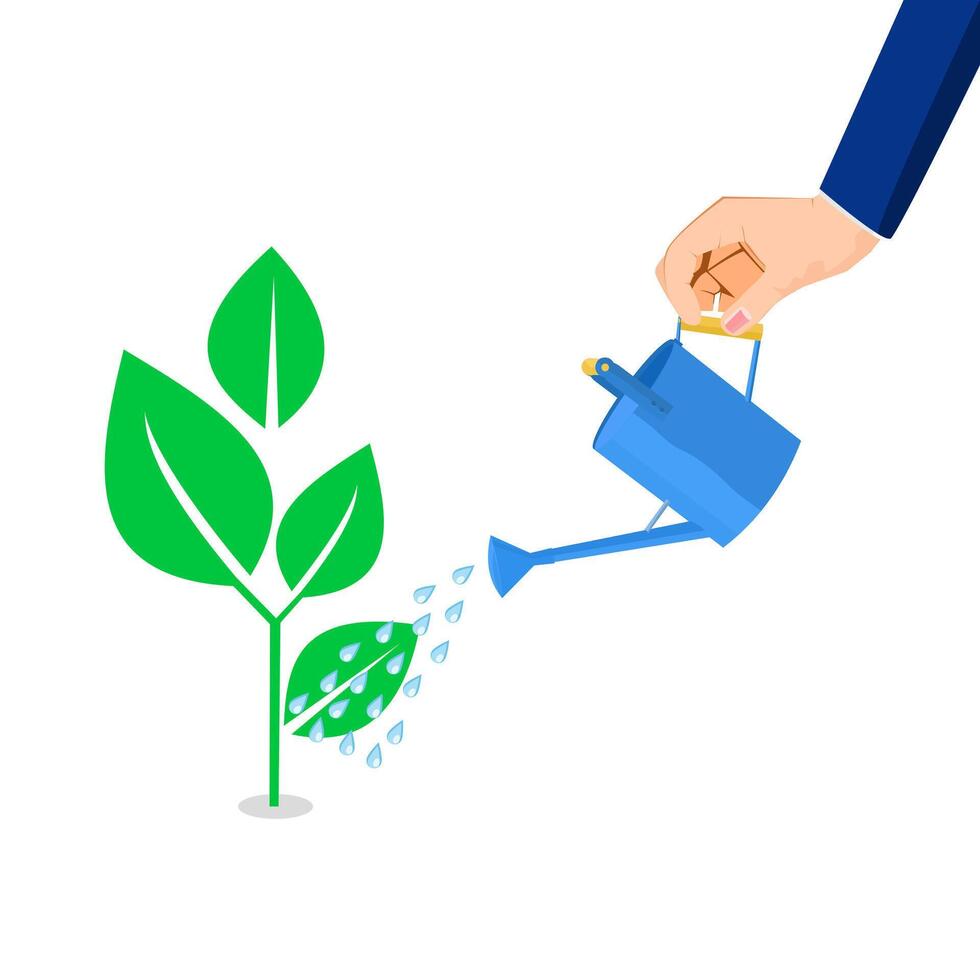 human hand is watering a growing plant. growth vector