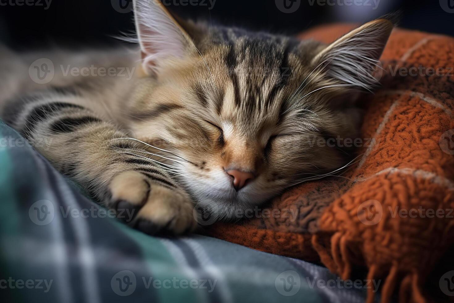 AI generated Close-up of a cute kitten sleeping on sofa, cute tired lazy pet cat resting indoors photo