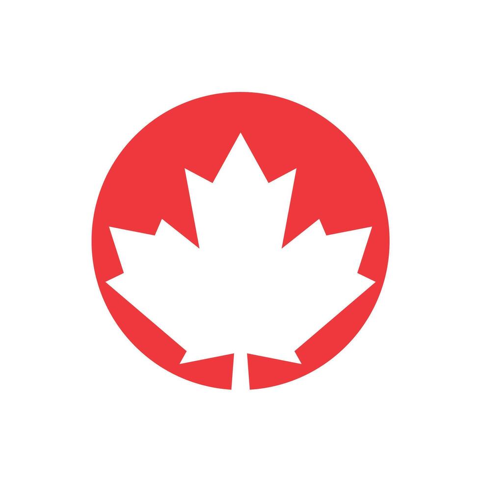 pino árbol canadiense arce icono vector logo modelo