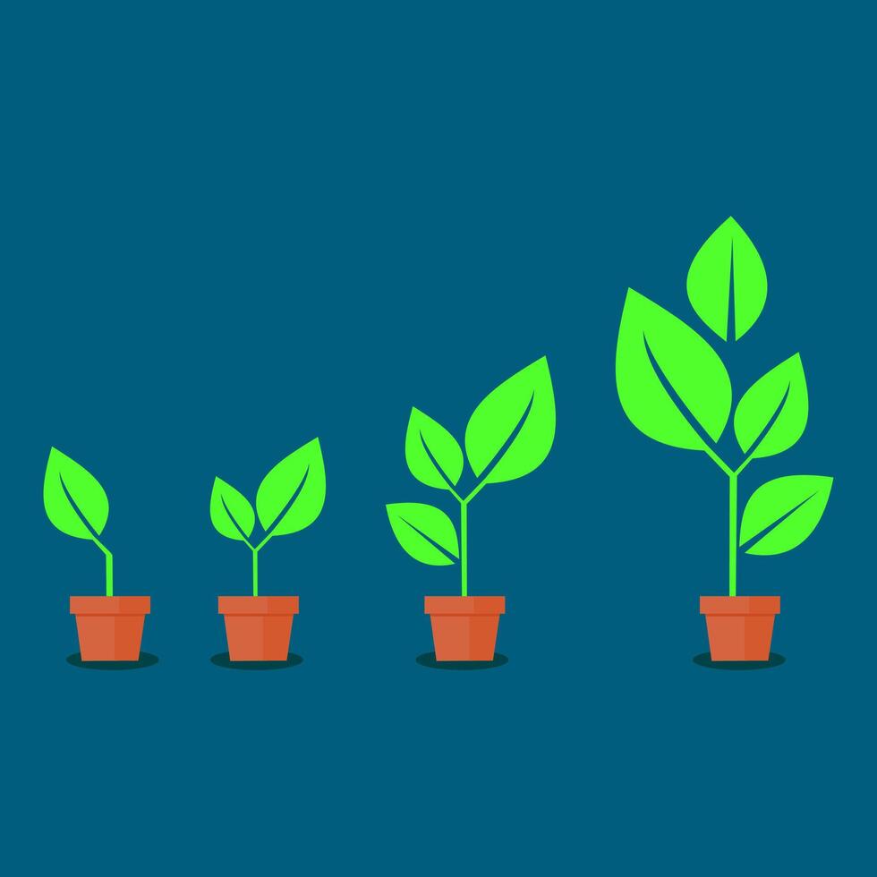 growth of a tree from a small tree. potted plant vector