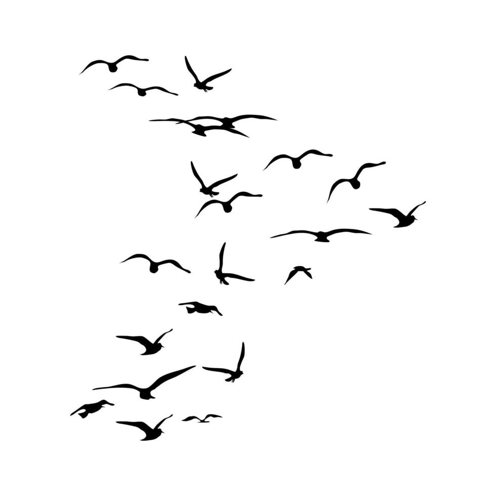 silueta de un rebaño de aves tomando vuelo vector