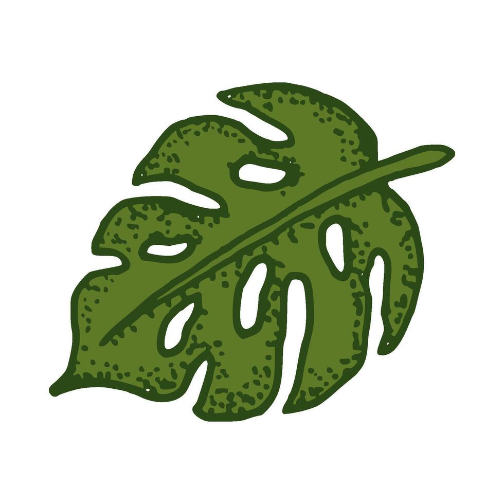 natural tropical monstera hoja vector logo modelo ilustración eps 10