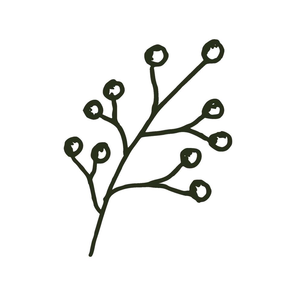 natural tropical rojo baya hojas vector logo modelo ilustración eps 10