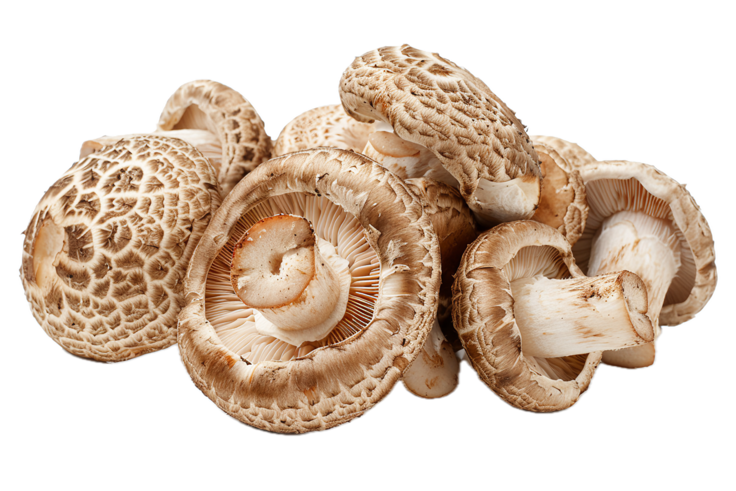 AI generated Fresh Shiitake Mushrooms Grouped png