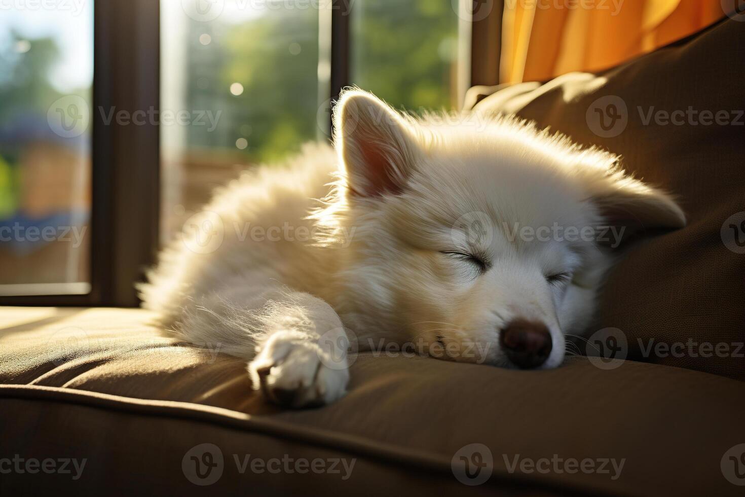 AI generated Close-up of a white fluffy sleeping dog on a sofa indoors photo