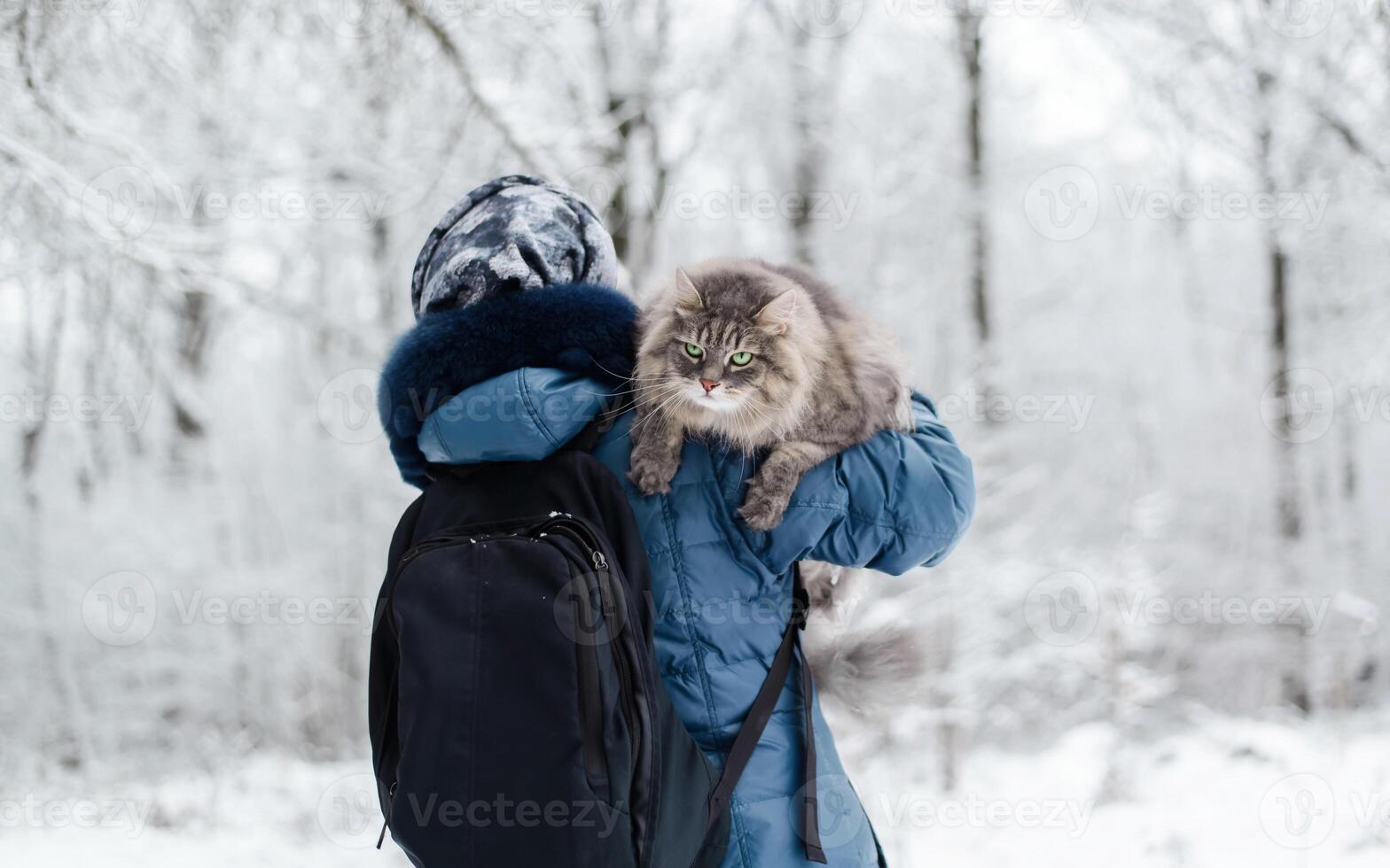 Woman carrying a cat on her shoulder outside, in the winter forest. Fluffy cat with a sad expression on his face, looking away photo
