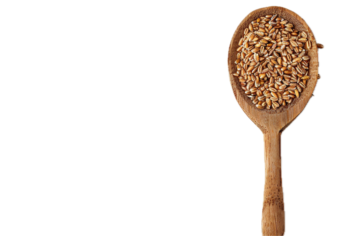 AI generated Whole Grain Wheat Kernels in Wooden Spoon png