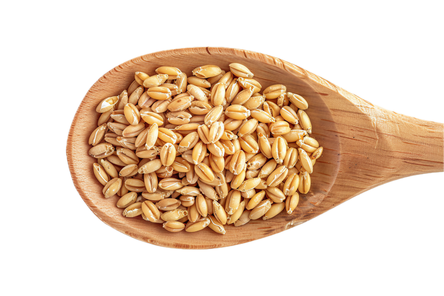 AI generated Whole Grain Wheat Kernels in Wooden Spoon png