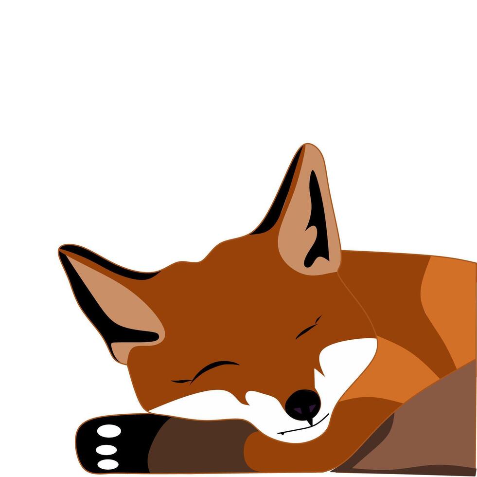 Illustration of a fox vector