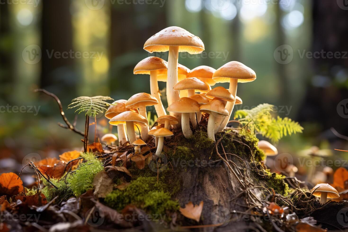 AI generated Close-up group of mushrooms growing on rotten stump and moss in forest photo