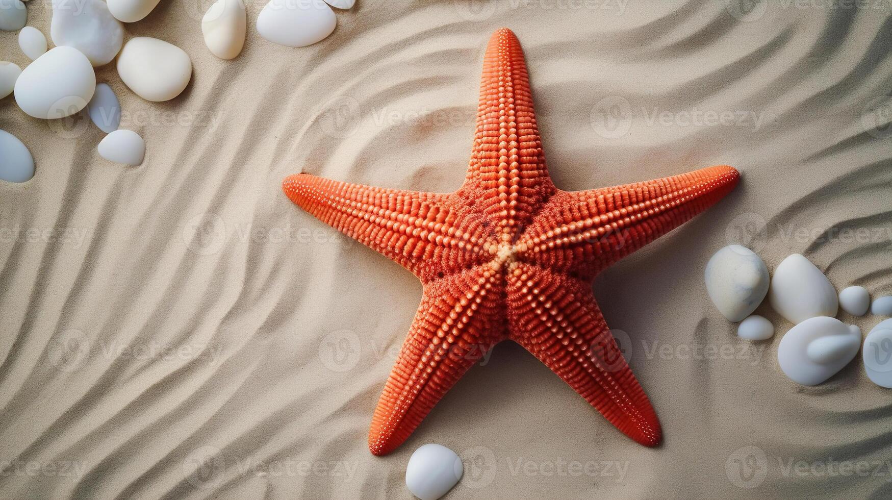 AI generated Marine life, top view orange starfish and stones on sand of beach photo