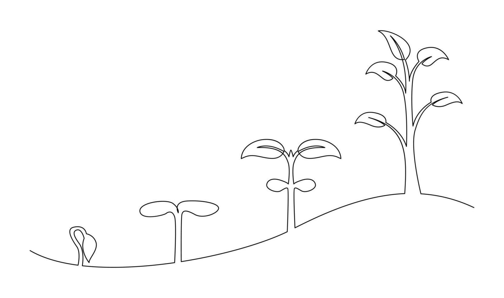 Continuous line drawing of step of tree growth. Plants grow isolated on white background vector