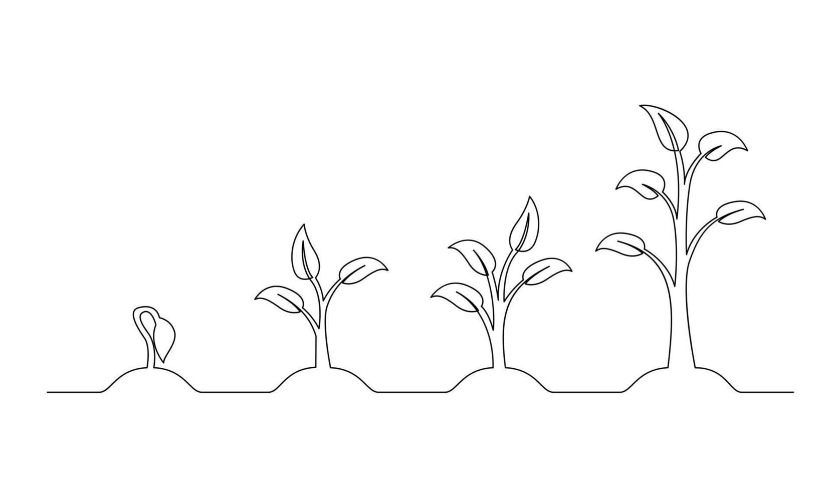 Continuous line drawing of step of tree growth. Plants grow isolated on white background vector