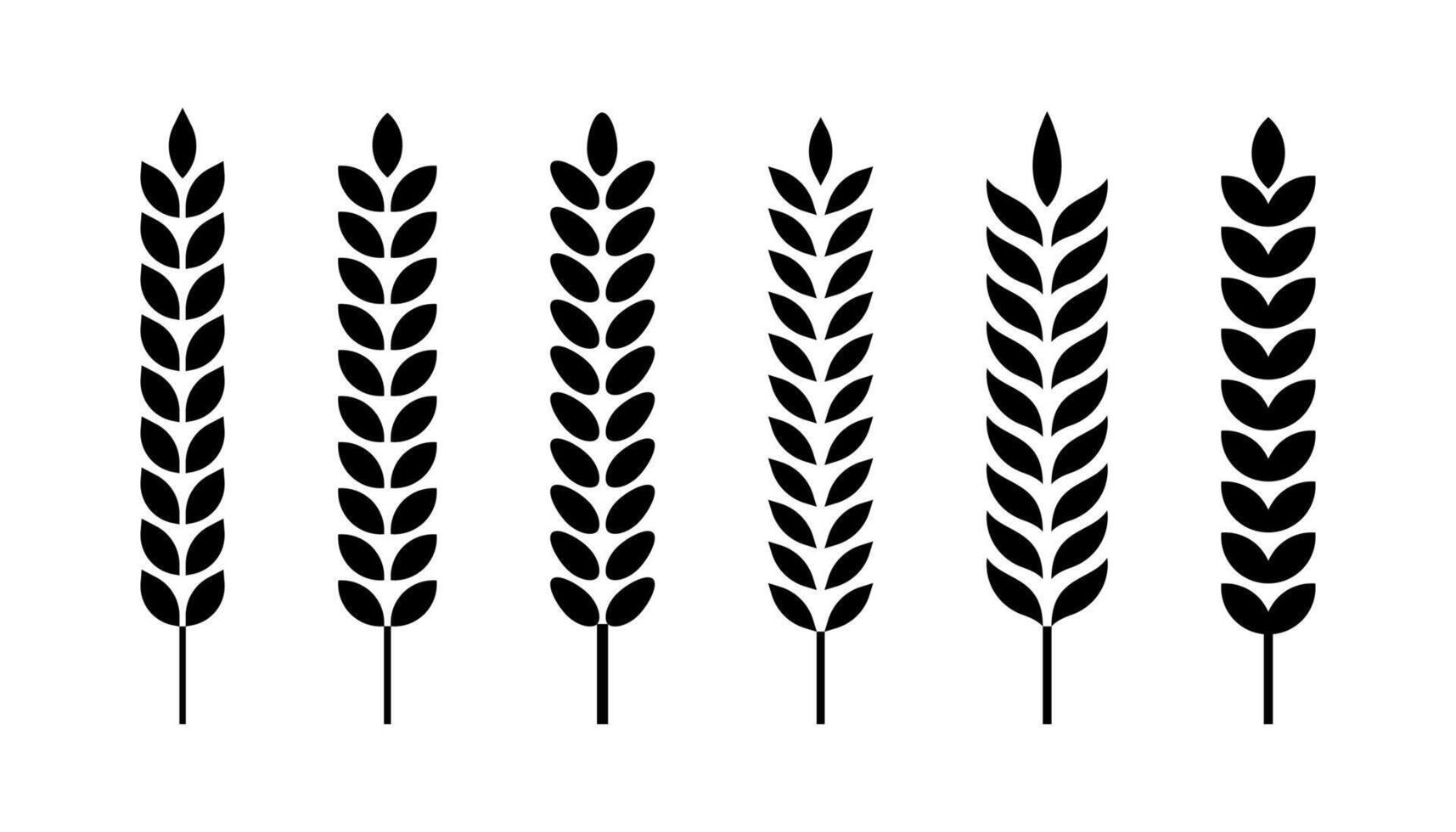 Wheat symbol vector isolated on white background.