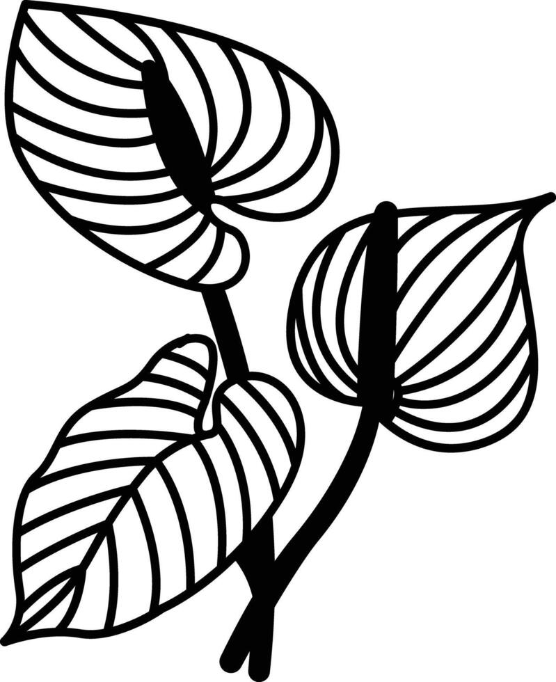 Anthurium flower glyph and line vector illustration