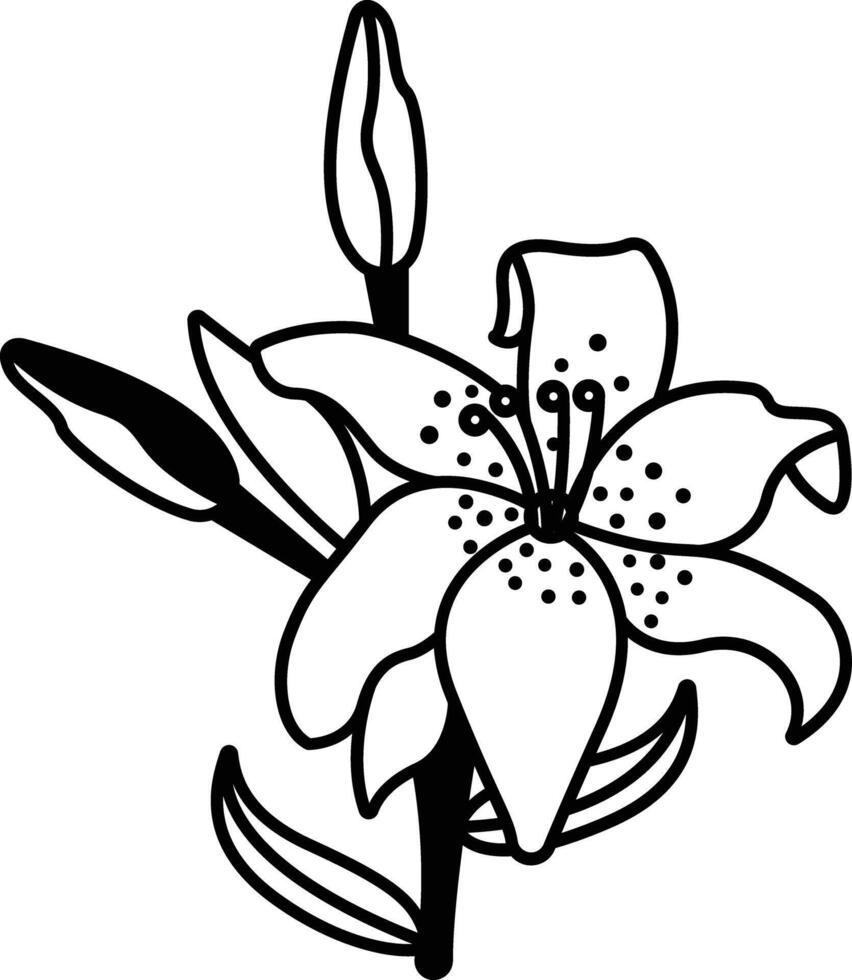 tiger lily flower glyph and line vector illustration