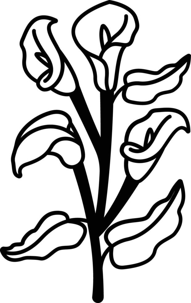 Calla lily glyph and line vector illustration