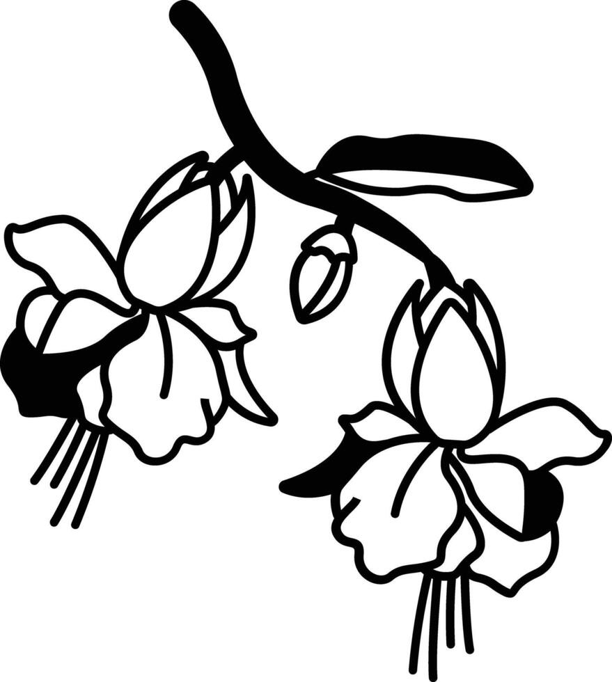 Fuchsia flower glyph and line vector illustration