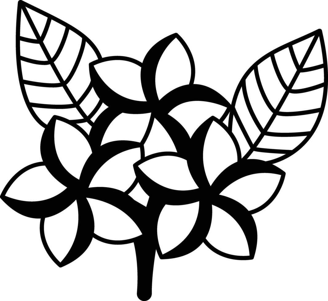Frangipani flower glyph and line vector illustration