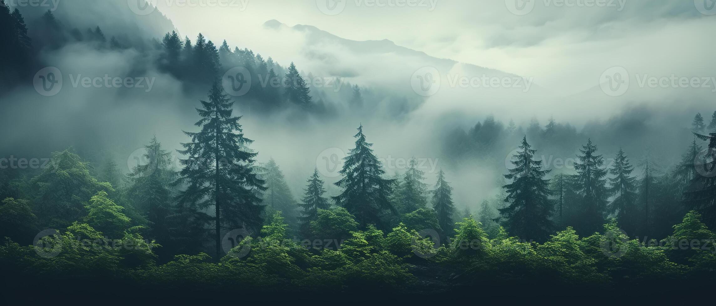AI generated Nature foggy pine forest and hills, banner photo