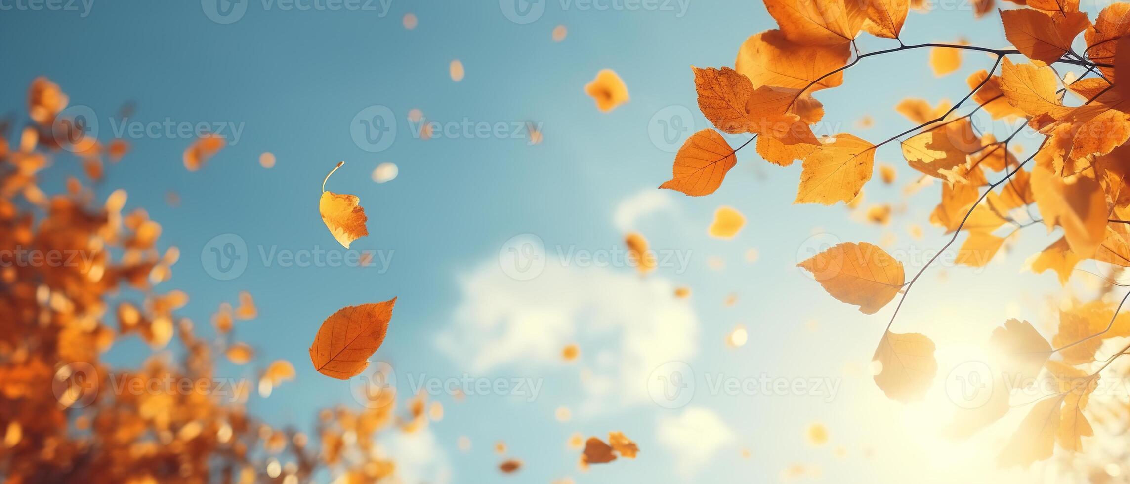 ai generado otoño bandera, caído amarillo hojas en contra cielo en soleado día foto