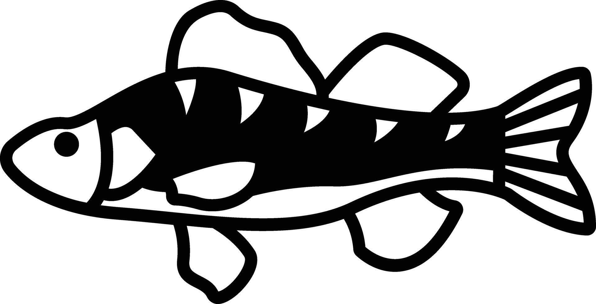 Perch Fish glyph and line vector illustration
