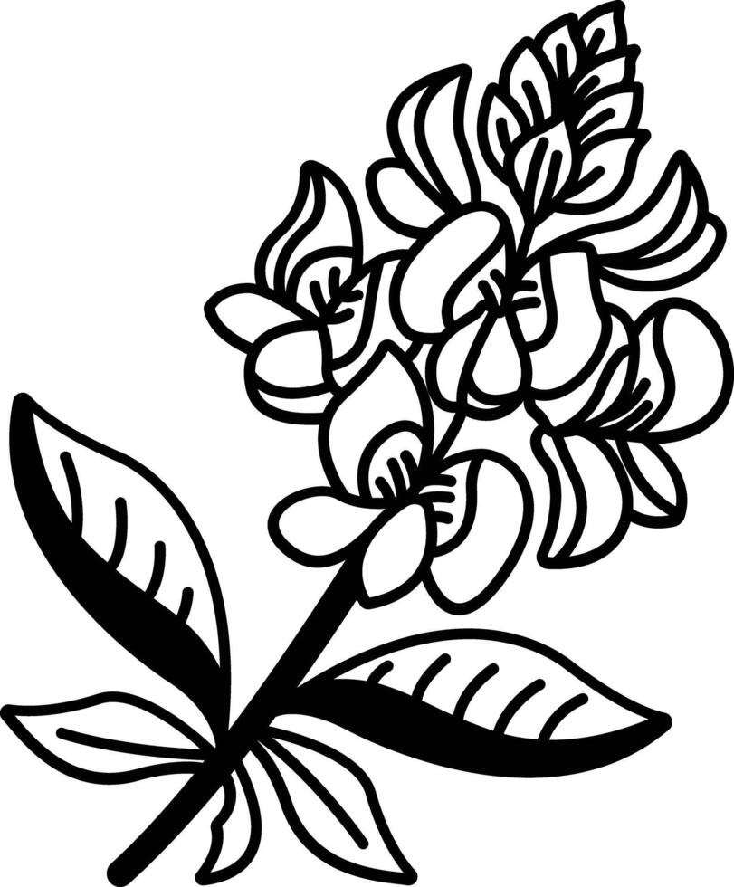 Bluebonnet flower glyph and line vector illustration