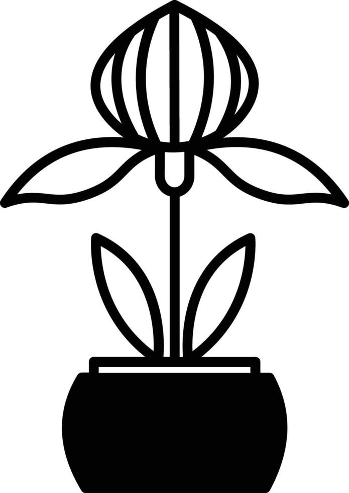 Orchid plant glyph and line vector illustration