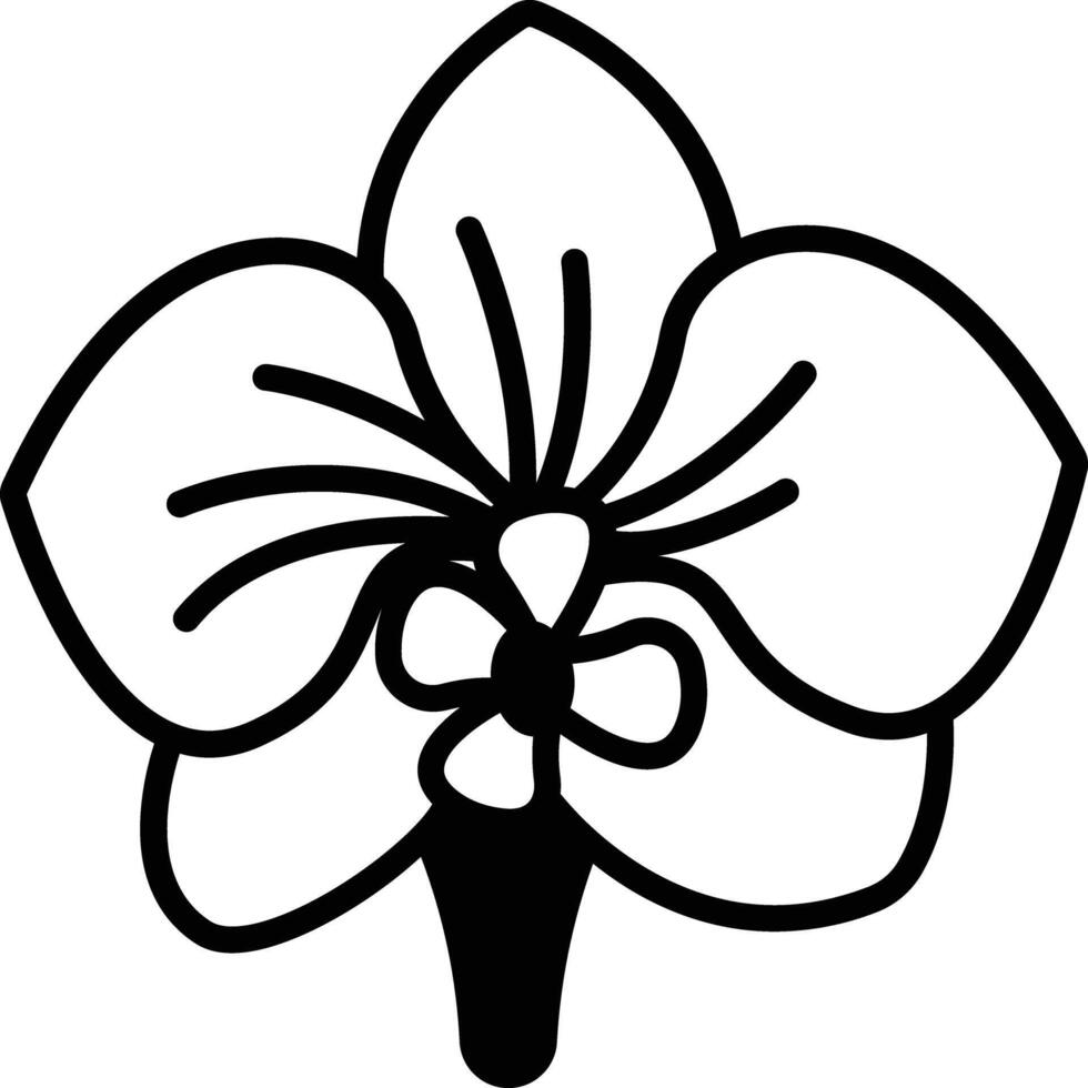 orchid flower glyph and line vector illustration
