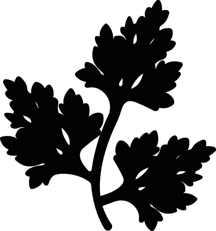 Parsley glyph and line vector illustration