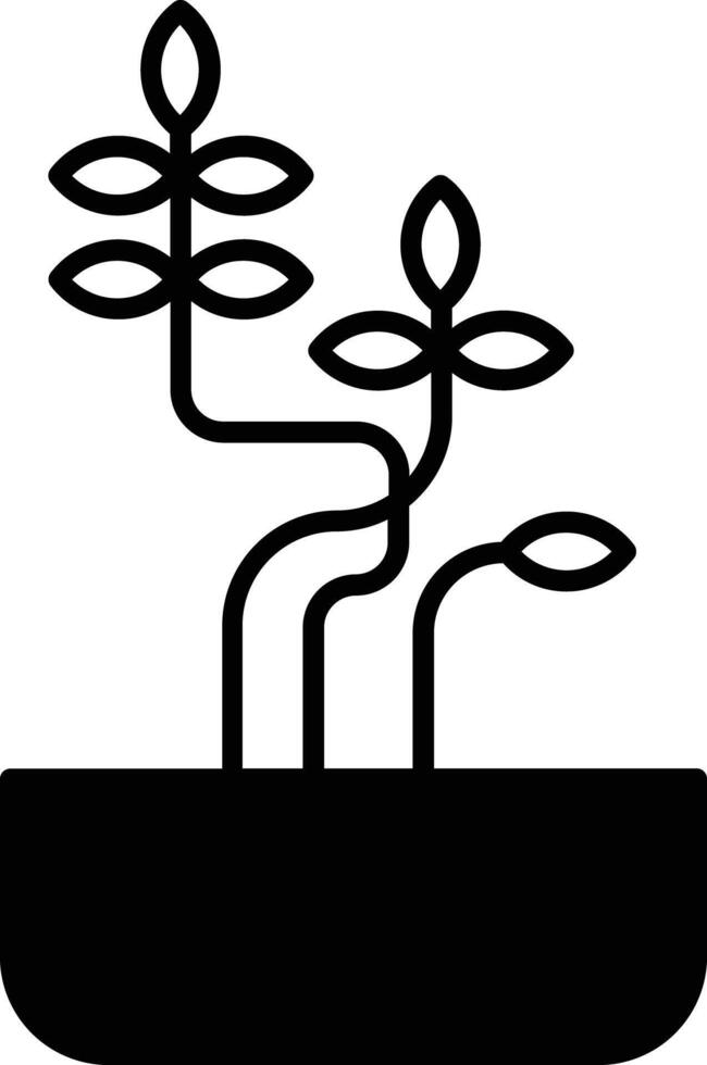 Sophora Little Baby plant glyph and line vector illustration