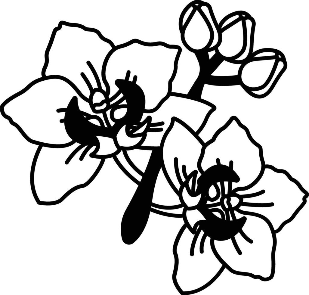 reina de el noche flor glifo y línea vector ilustración