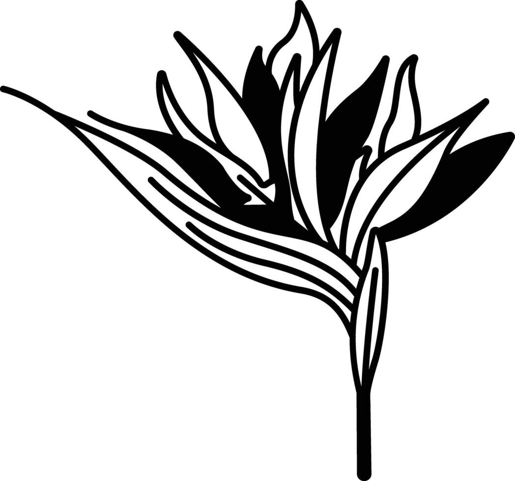 Strelitzia flower glyph and line vector illustration